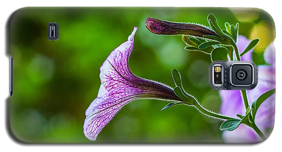 Flower Macro Nature Colors Colorful Vibrant Earth Garden Life Spring Bloom Plant Love Purple Green Leaf Petal Bokeh Veins Blossom Galaxy S5 Case featuring the photograph Reaching Out by Joshua Blash