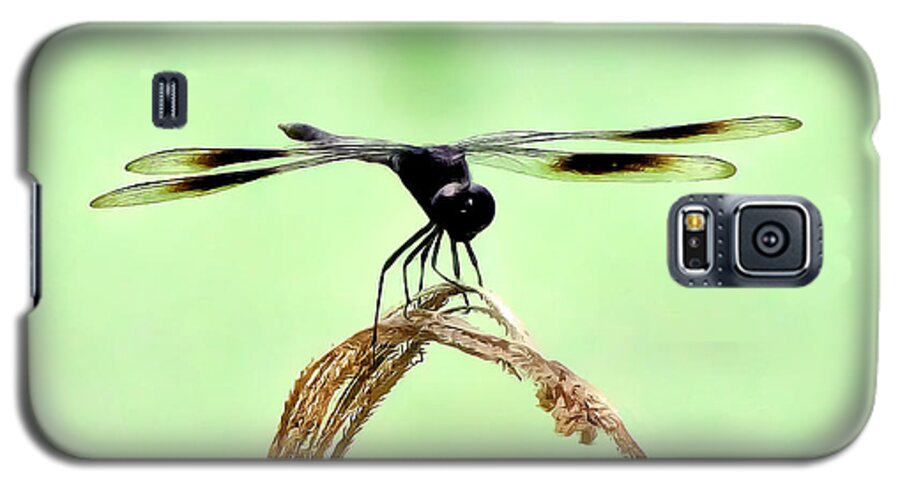 Dragonfly Photograph Galaxy S5 Case featuring the photograph Ready for TakeOff by Lucy VanSwearingen