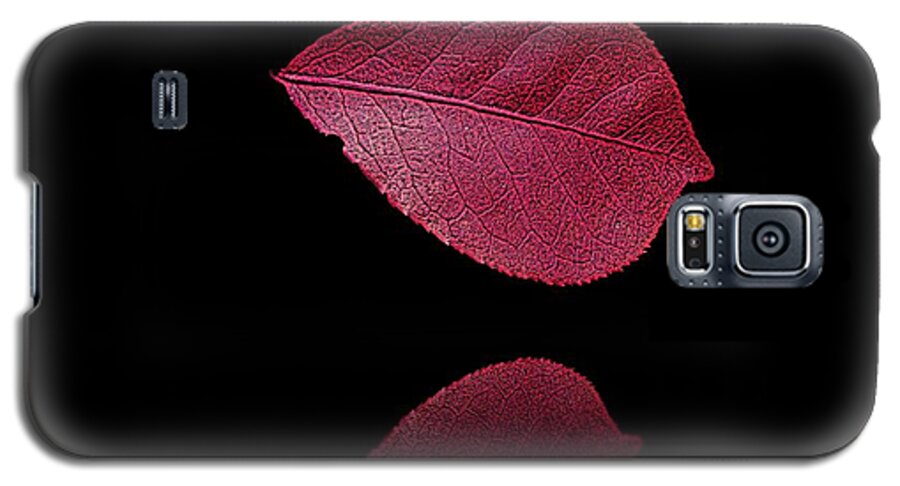 Leaf Galaxy S5 Case featuring the photograph Red Beauty by David Dehner