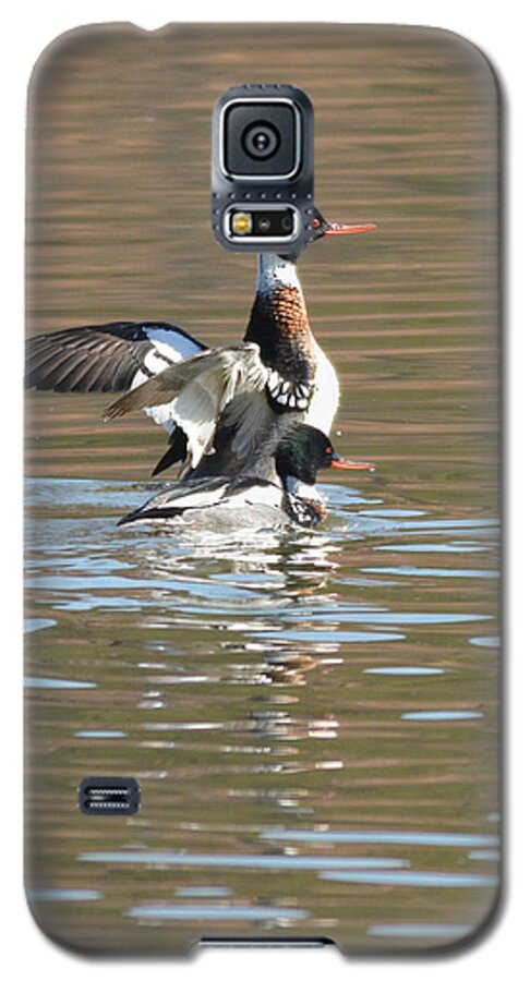 Bird Galaxy S5 Case featuring the photograph Red-breasted Merganser by Alan Lenk