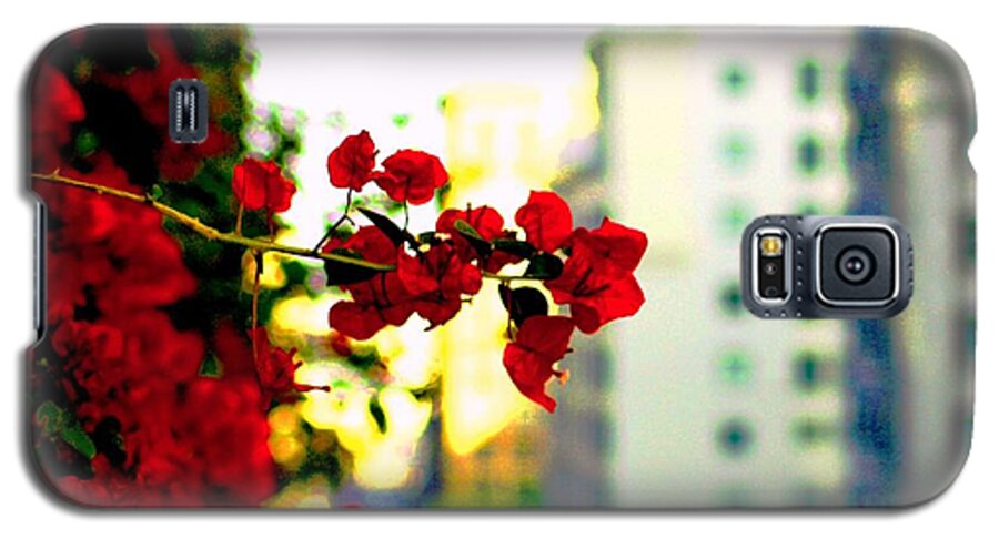Flowers Galaxy S5 Case featuring the photograph Red Flowers Downtown by Matt Quest