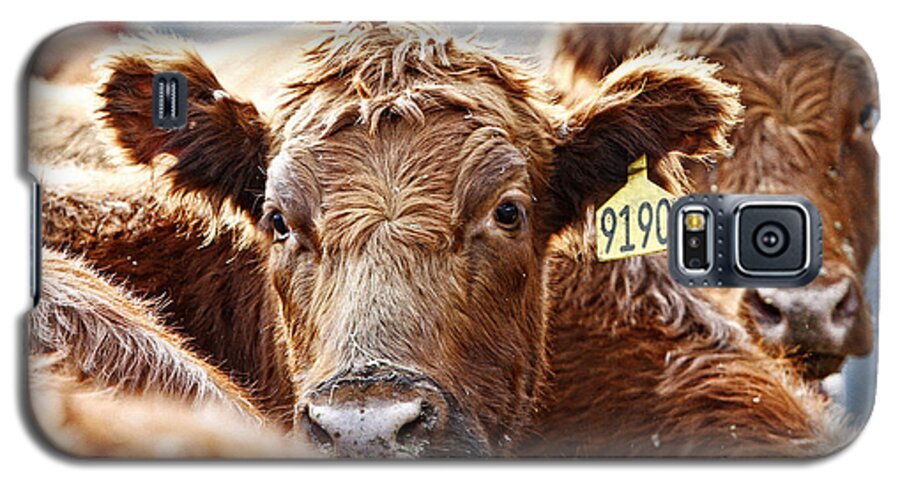 Lincoln Rogers Galaxy S5 Case featuring the photograph Red Heads on the Ranch by Lincoln Rogers
