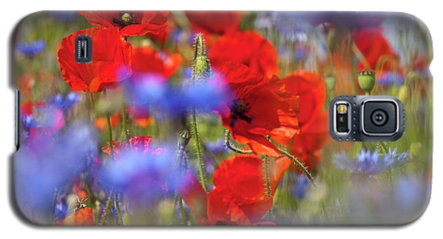 Poppy Galaxy S5 Case featuring the photograph Red Poppies in the Maedow by Heiko Koehrer-Wagner
