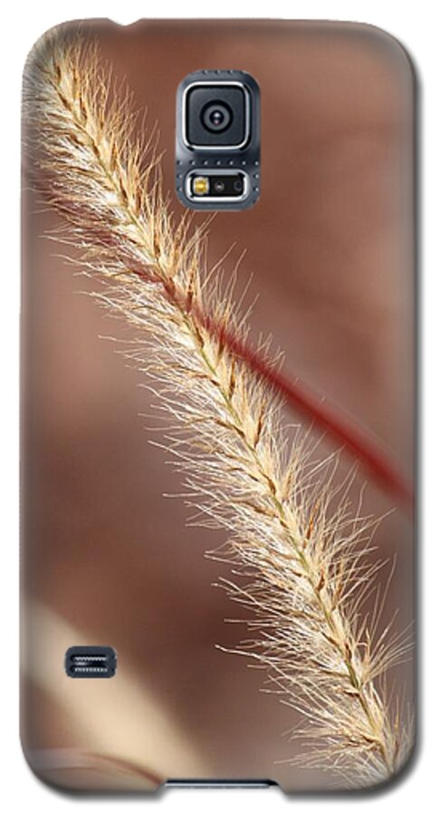 Tall Grass Galaxy S5 Case featuring the photograph Red Winds by Amy Gallagher