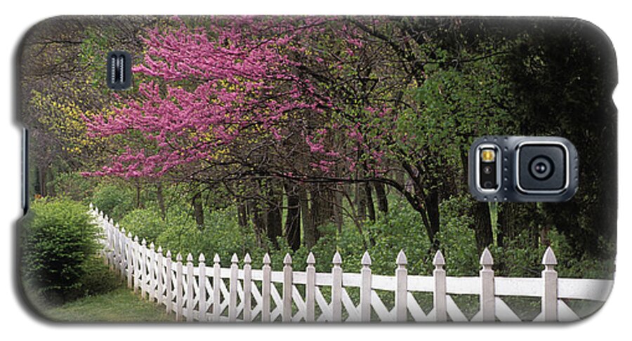 Eastern Galaxy S5 Case featuring the photograph Redbud - FS000814 by Daniel Dempster