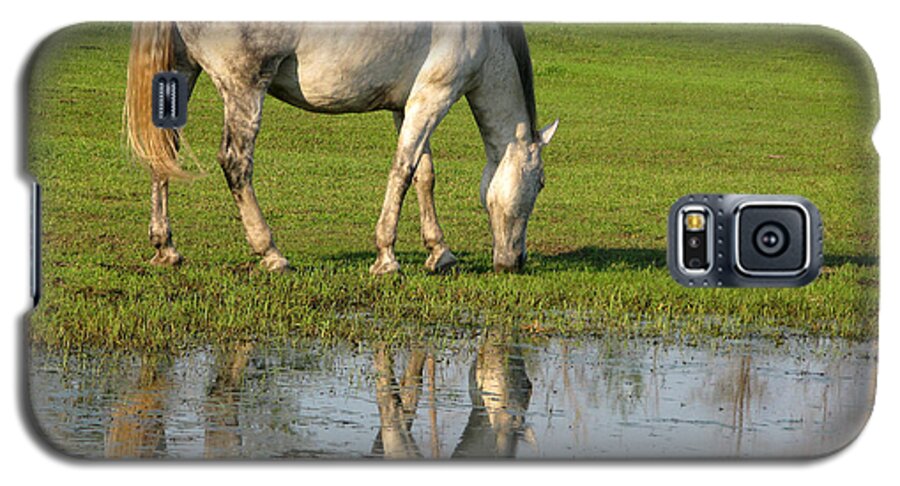 White Horse Galaxy S5 Case featuring the photograph Reflection by Stan Kwong
