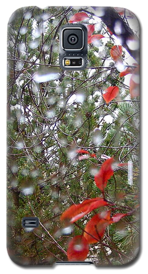 Rain Galaxy S5 Case featuring the photograph Reflections of Rain by LeLa Becker