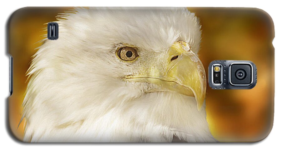 Animal Galaxy S5 Case featuring the photograph Regal Eagle by Brian Cross