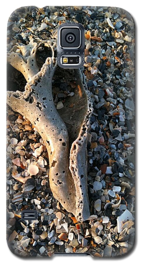 Shells Galaxy S5 Case featuring the photograph Relic by M West