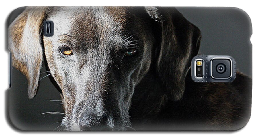 Dogs Galaxy S5 Case featuring the photograph Rescue Dog - Osa by Peggy Collins