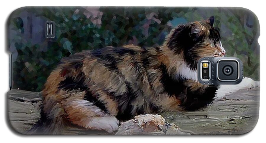 Cat Galaxy S5 Case featuring the photograph Resting Calico Cat by Lesa Fine