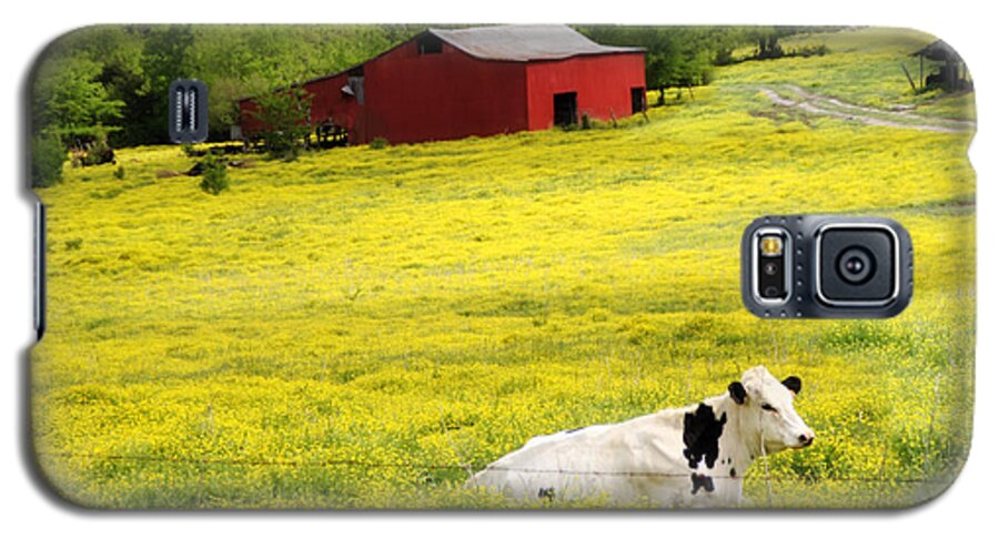 Cow Galaxy S5 Case featuring the photograph Resting Place by Amy Tyler