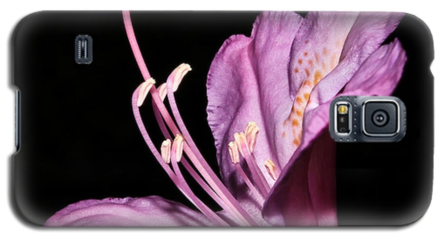 Rhododendron Maximum Galaxy S5 Case featuring the photograph Rhododendron maximum by Tammy Schneider