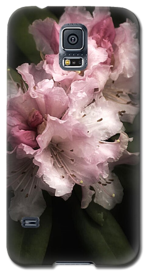 Rhododendron Galaxy S5 Case featuring the photograph Rhododendron Study by Richard Cummings