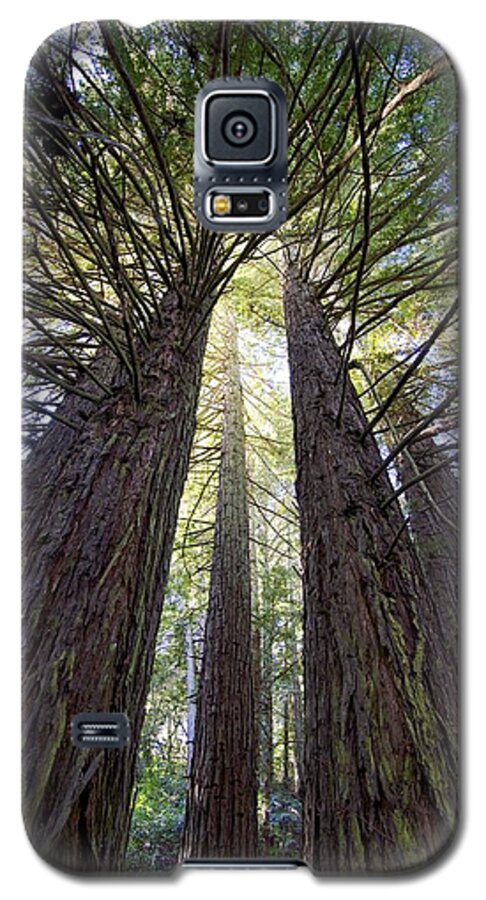 Landscape Galaxy S5 Case featuring the photograph Rise by Robin Mayoff