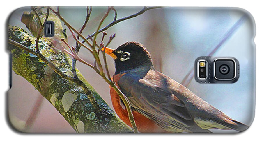Robin Galaxy S5 Case featuring the photograph Robin by Bonnie Willis