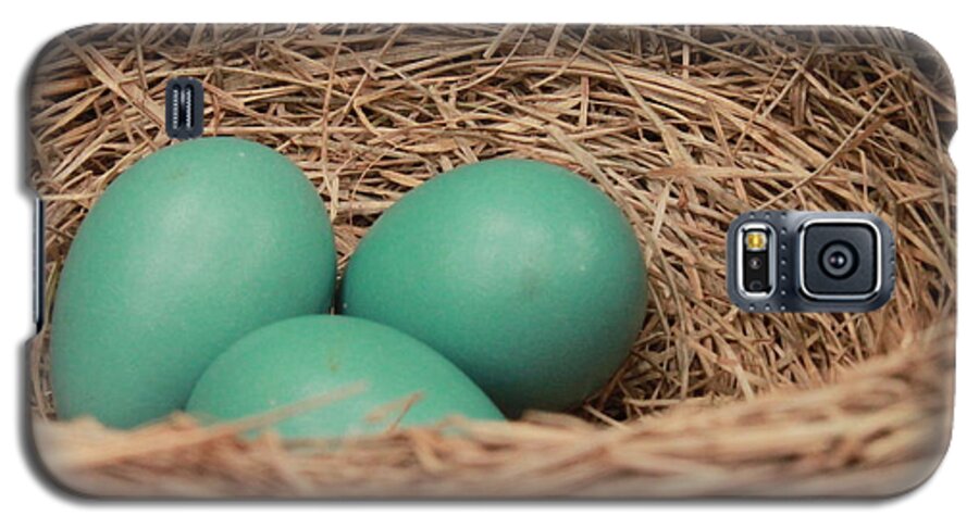 Robin Galaxy S5 Case featuring the photograph Robins three blue eggs by Jennifer E Doll