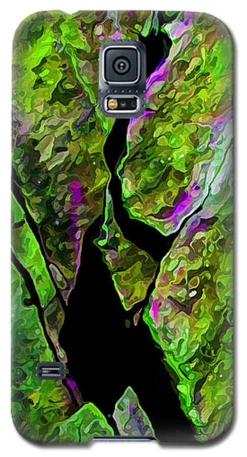Nature Galaxy S5 Case featuring the digital art Rock Art 20 by ABeautifulSky Photography by Bill Caldwell