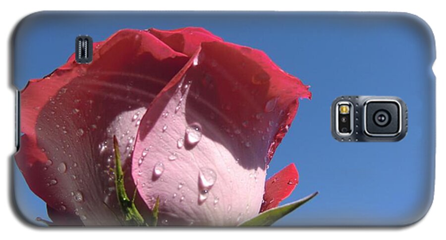 Rose Galaxy S5 Case featuring the photograph Excellence by Michele Penn