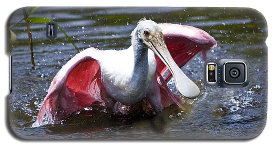 Roseate Spoonbill Galaxy S5 Case featuring the photograph Roseate Spoonbill by John Greco