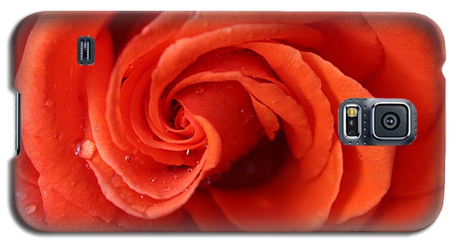 Queen Galaxy S5 Case featuring the photograph Roses and Raindrops by Jeanette French