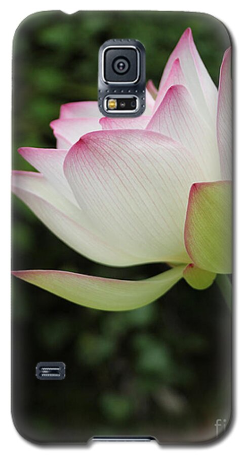 Lotus Galaxy S5 Case featuring the photograph Ruby Lips Lotus by Dodie Ulery