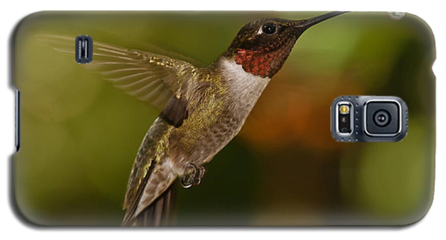 Ruby-throated Hummingbird Galaxy S5 Case featuring the photograph Ruby-Throat Hummingbird by Robert L Jackson