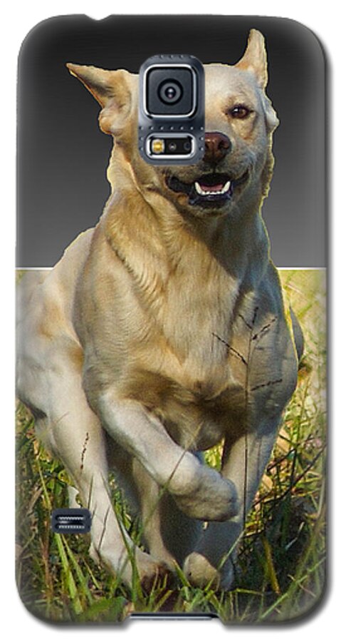 Puppy Galaxy S5 Case featuring the digital art Run Puppy Run by M Three Photos