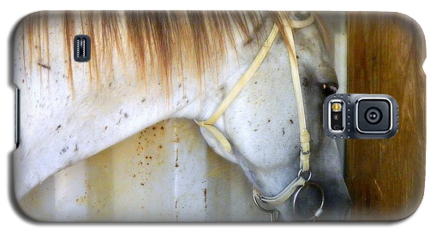 Horse Galaxy S5 Case featuring the photograph Saddle Break by Kathy Barney