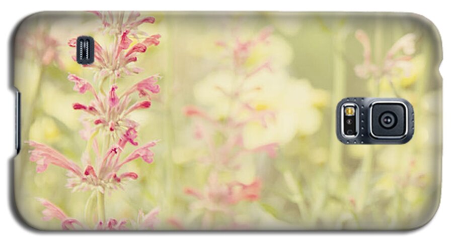Salvia Galaxy S5 Case featuring the photograph Salvia Flower 2 by Chris Scroggins