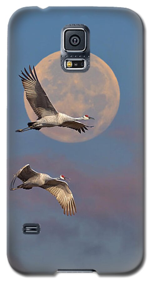 Sandhill Galaxy S5 Case featuring the photograph Sandhill Cranes Passing The Moon In The Morning by Steven Llorca