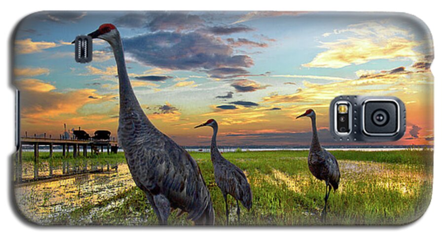 Belle Galaxy S5 Case featuring the photograph Sandhill Sunset by Debra and Dave Vanderlaan