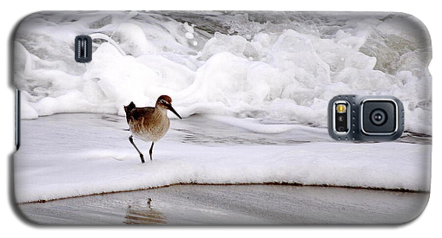 Bird Galaxy S5 Case featuring the photograph Sandpiper in the Surf by AJ Schibig