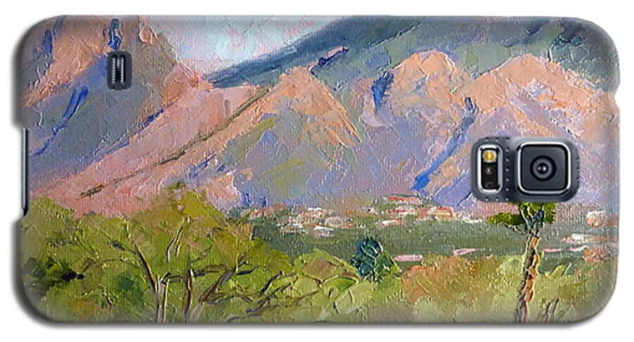 Oil Painting Galaxy S5 Case featuring the painting Santa Catalinas by Susan Woodward