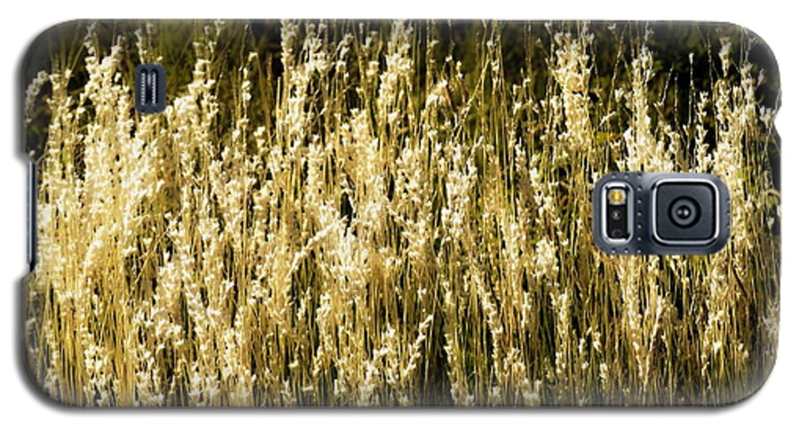 Color Photo Galaxy S5 Case featuring the digital art Santa Fe Grasses by Tim Richards