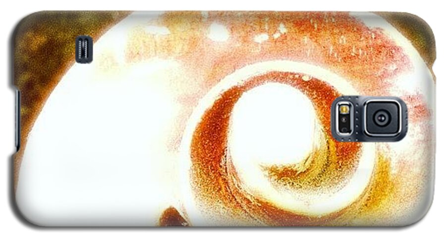 Violin Galaxy S5 Case featuring the photograph Scrollwork by Ken Powers