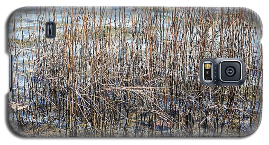 Water Galaxy S5 Case featuring the photograph Sea Grass by Judy Palkimas