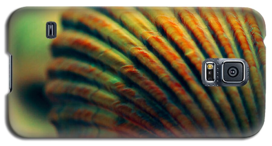 Sea Shell Galaxy S5 Case featuring the photograph Sea Shell Art 1 by Bonnie Bruno