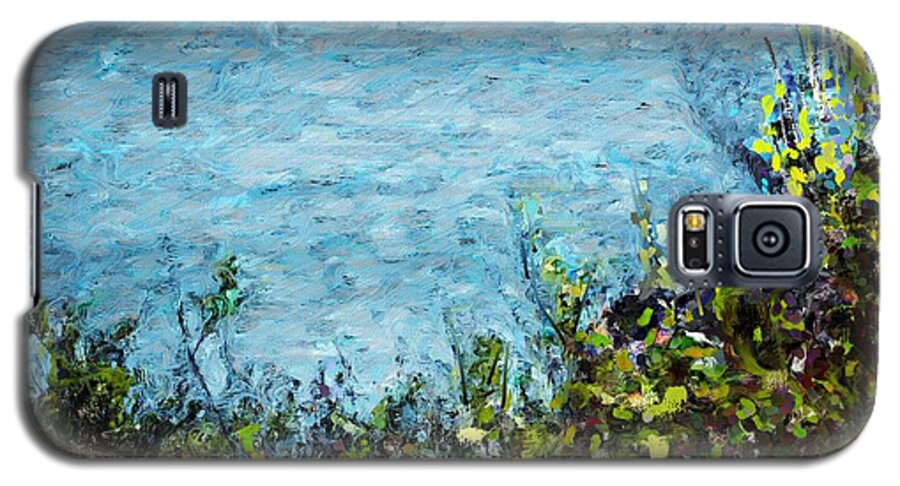 Fine Art Galaxy S5 Case featuring the digital art Sea Shore 1 by David Lane