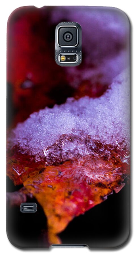 2013 Galaxy S5 Case featuring the photograph Seasons by Haren Images- Kriss Haren