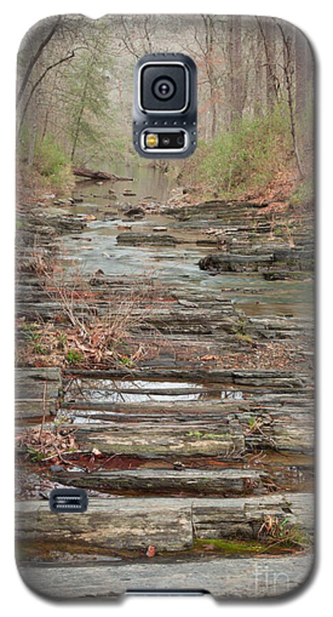 Landscape Galaxy S5 Case featuring the photograph Secret Creek by Iris Greenwell