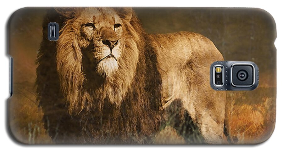 African Lion Galaxy S5 Case featuring the photograph Serengeti Sunset by Brian Tarr