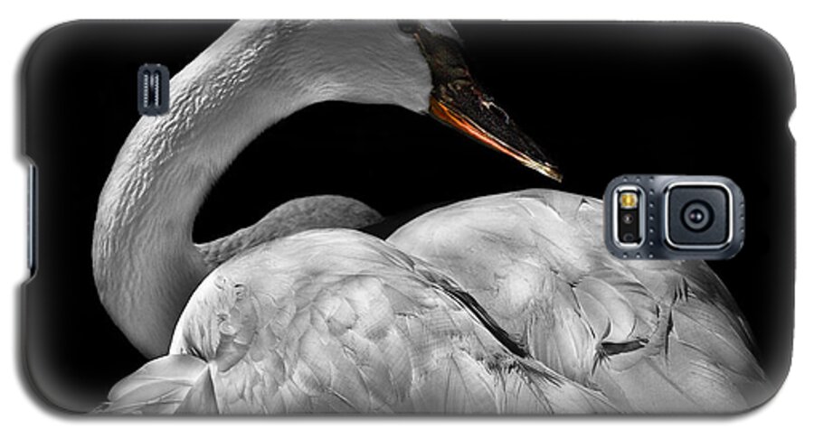Animals Galaxy S5 Case featuring the photograph Serenity by Debra and Dave Vanderlaan