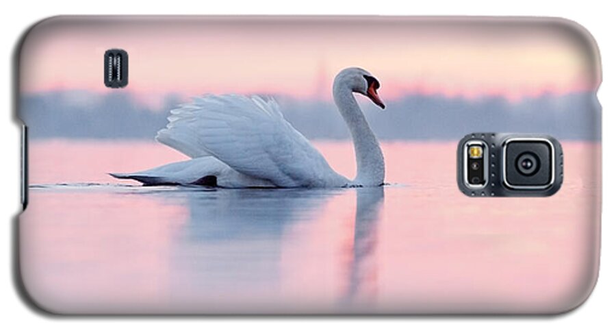 Mute Swan Galaxy S5 Case featuring the photograph Serenity  Mute Swan at Sunset by Roeselien Raimond