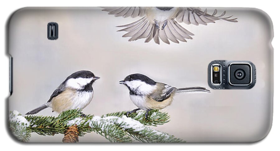 Chickadees Galaxy S5 Case featuring the photograph She Think's She's a Drone by Peg Runyan