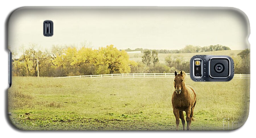 Horse Galaxy S5 Case featuring the photograph Shiloah on the Run by Pam Holdsworth