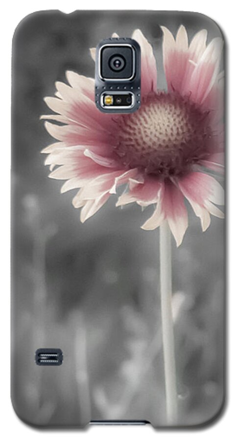 Blanket Flower Galaxy S5 Case featuring the photograph Shy Gaillardia by Susan Eileen Evans