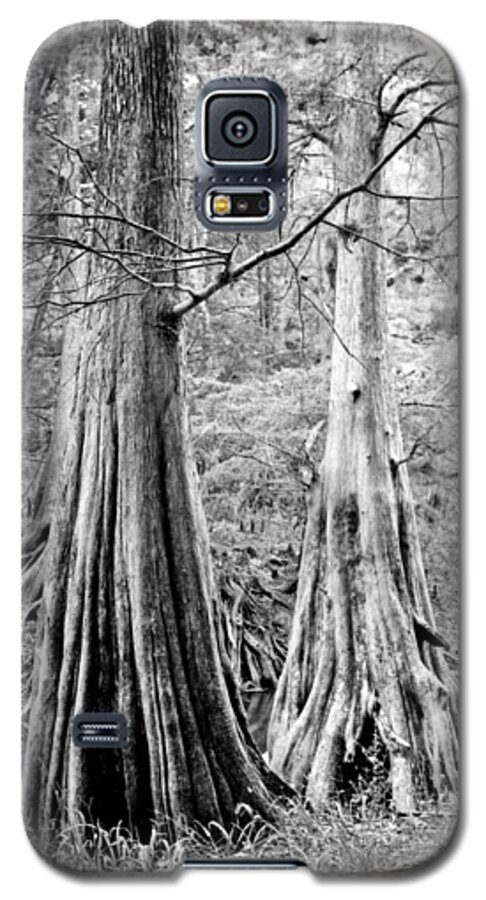 Black & White Landscape Galaxy S5 Case featuring the photograph Siblings. Econlockhatchee River Orange County. by Chris Kusik
