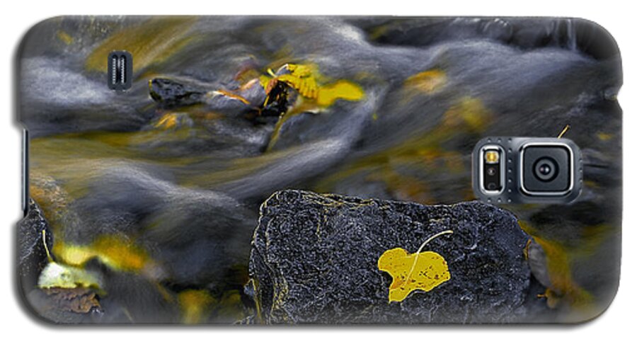 Landscape Galaxy S5 Case featuring the photograph Sierra Stream by Paul Breitkreuz