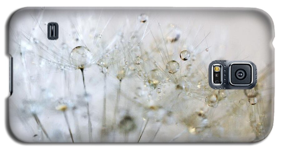 Silver Galaxy S5 Case featuring the photograph Silver and Gold by Marianna Mills